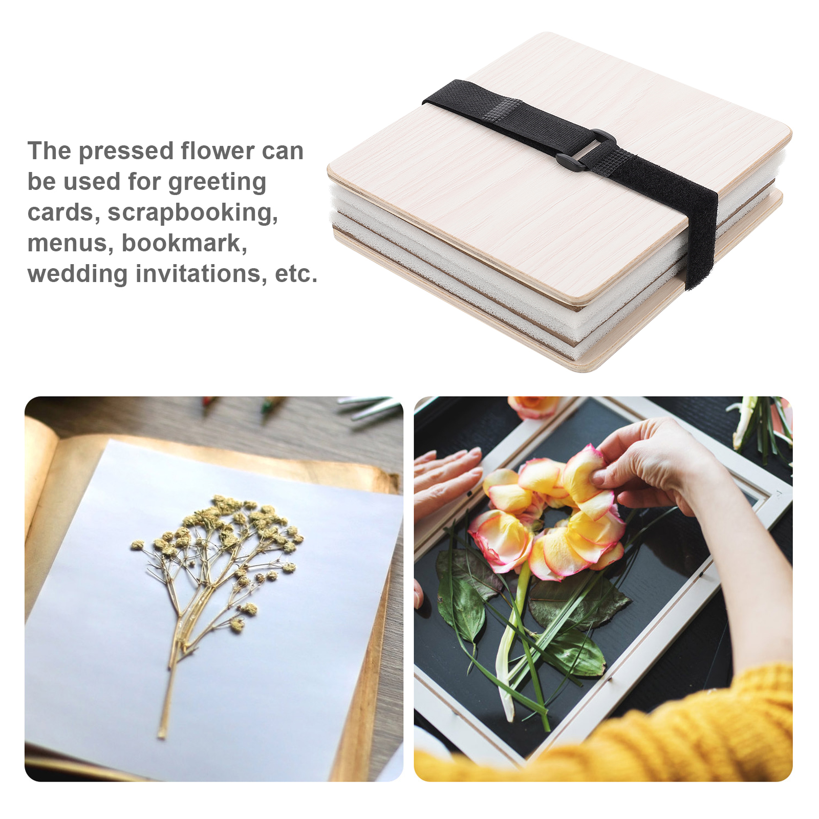 1 set Flower Press Kit Plant L - đánh giá và giá Ink Blotter Paper