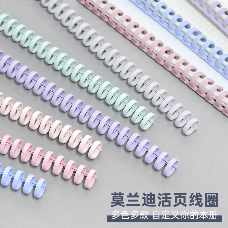 30 Holes Round Ring Loose Leaf - đánh giá và giá Binder A4 Lever