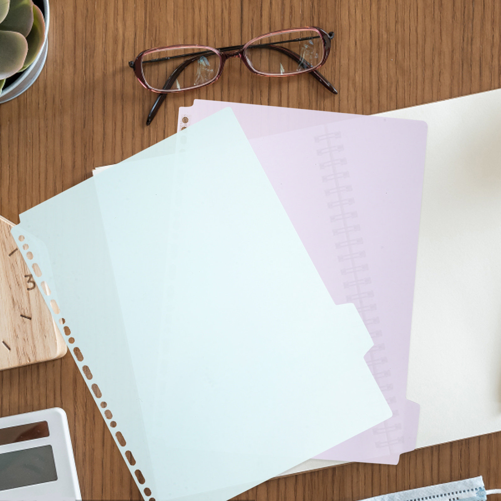 6Pcs Tabbed Binder Dividers A4 - đánh giá và giá Tab Divider A4