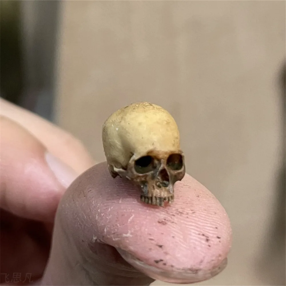 Mini Skull High Quality Miniat - đánh giá và giá Letter Opener Brass